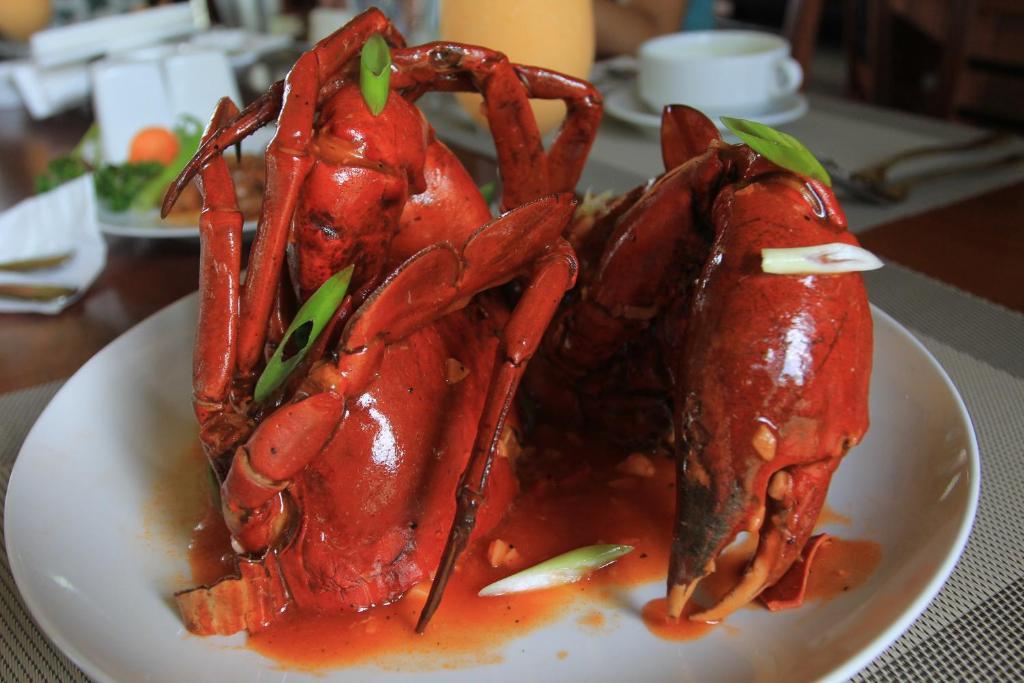 소피아 가든 리조트 코른 외부 사진